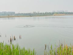 -绿堤公园