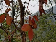 -汉中石门栈道景区