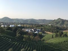 -帐篷客·溪龙茶谷度假酒店