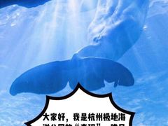 -杭州长乔极地海洋公园