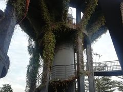 -芒洲湿地公园
