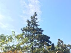 -惠山国家森林公园