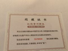 -阿五黄河大鲤鱼(英协路店)