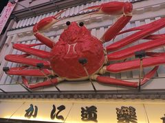 -蟹道乐(道顿堀本店)