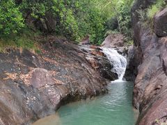 -广州白江湖森林公园