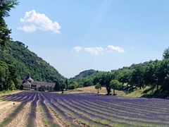 -塞南克修道院