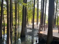 -东湖落雁景区