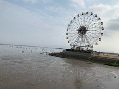 -碧海金沙