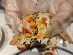 -杨氏青龙虾·羊蝎子(托乐嘉店)