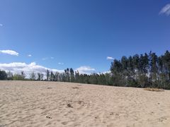 -东郊湿地公园