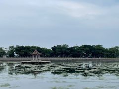 -龙舟池