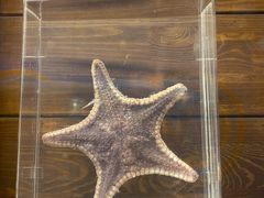 -多彩贵州城极地海洋世界