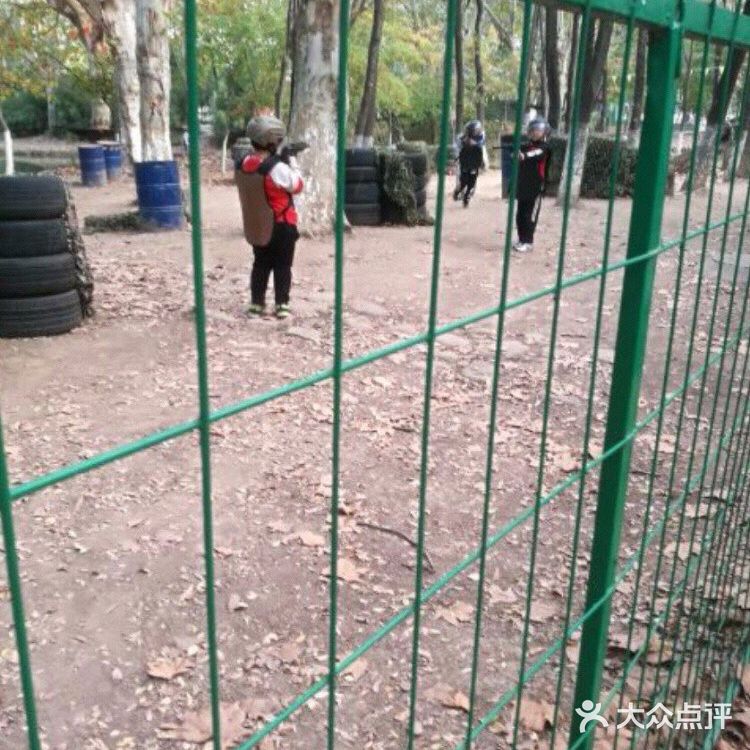 小朋友放电好去处—冒险森林·户外教育营地