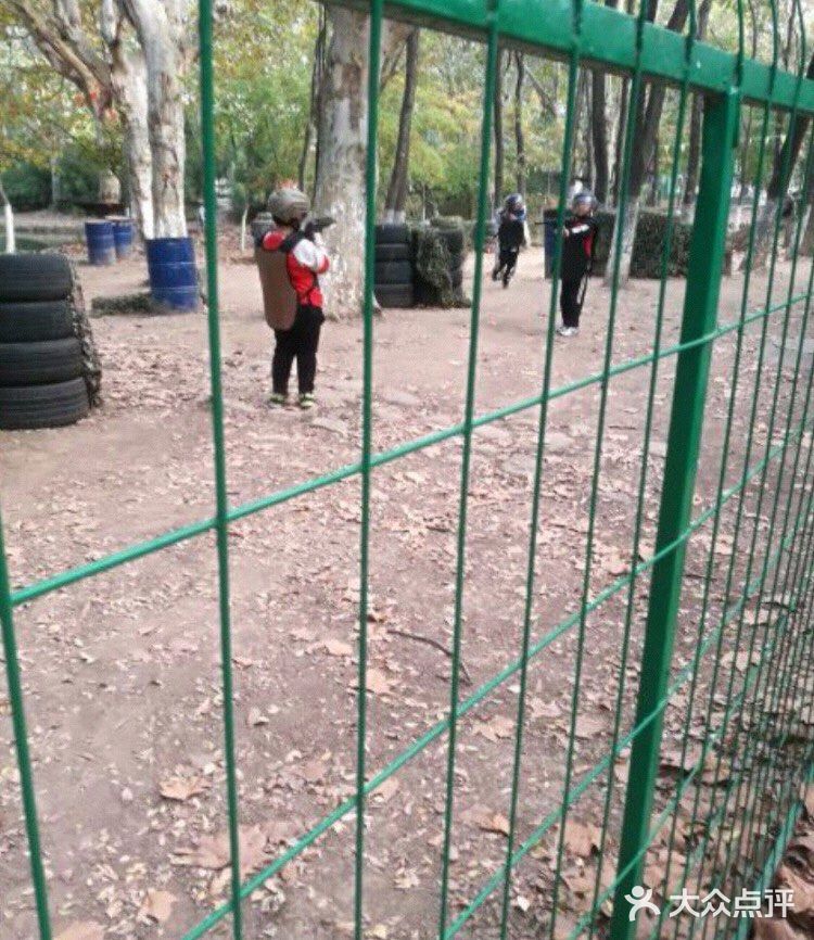 小朋友放电好去处—冒险森林·户外教育营地