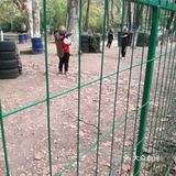 小朋友放电好去处—冒险森林·户外教育营地