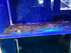 -海鸿荟·沿江菜(中山北路店)