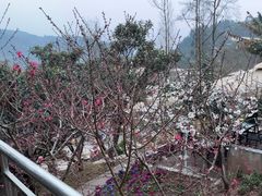 -桃源山庄·水蜜桃采摘·柴火鸡·烧烤团建(龙泉山店)