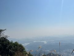 -阳台山森林公园