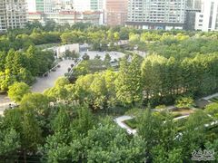 窗口拍出去的景色-新南华大酒店(长寿店)