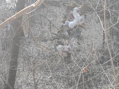 -终南山南五台景区