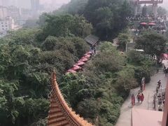 -黄鹤楼公园(黄鹤楼)