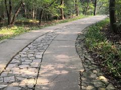 -紫霞湖公园