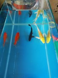 -萌宠亲子动物乐园(槐房万达店)