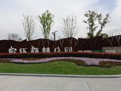 -上海滨江森林公园