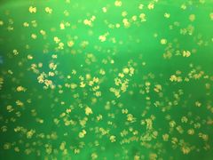 -福州罗源湾海洋世界旅游区