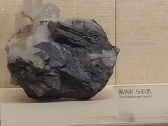 -广东省博物馆