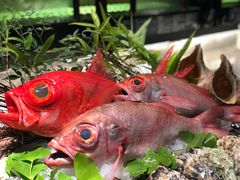 -蟹田居·活蟹料理(东城店)