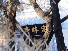-浮来山风景区