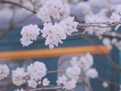 -新天地活力PARK