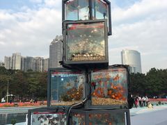 -海心沙亚运公园