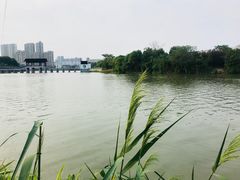 -八大山人梅湖景区