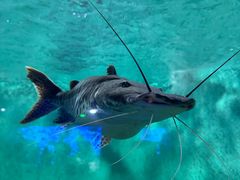 -太平洋海底世界