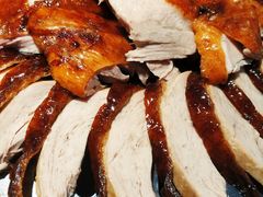 -守柴炉烤鸭(科华中路王府井店)