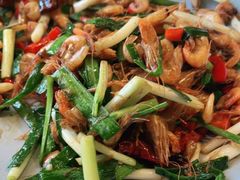 -鸽子窝(青塔店)
