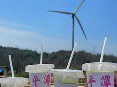 -长江澳风力发电景观区