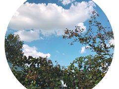 -无忧学车·大众驾校(长宁校区)