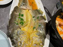 -1937青岛老味道·海肠捞饭·青岛菜(大鲍岛栈桥店)