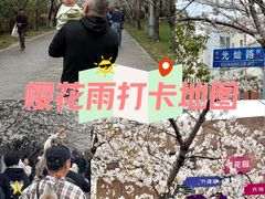-高东镇樱花园