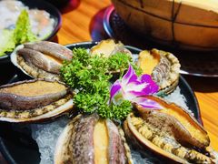 -捞围鲜·港式打边炉(海阳路店)