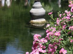 -趵突泉景区