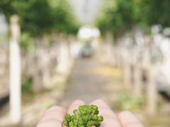 -美家乐农庄·露营·团建(大治路店)