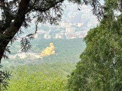 -千佛山风景名胜区