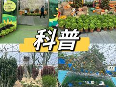 -盈香心动乐园