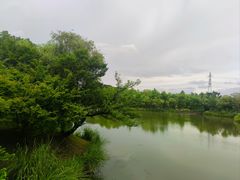 -梁鸿国家湿地公园