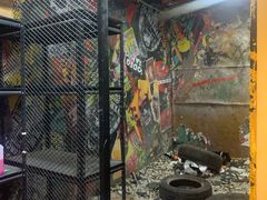 -不可思议减压馆·解压博物馆·摔碗发泄·团建定制