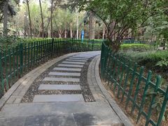 -西安市长乐公园